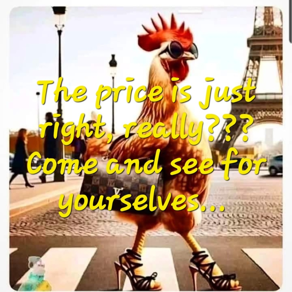 Stylish Rooster Art Print